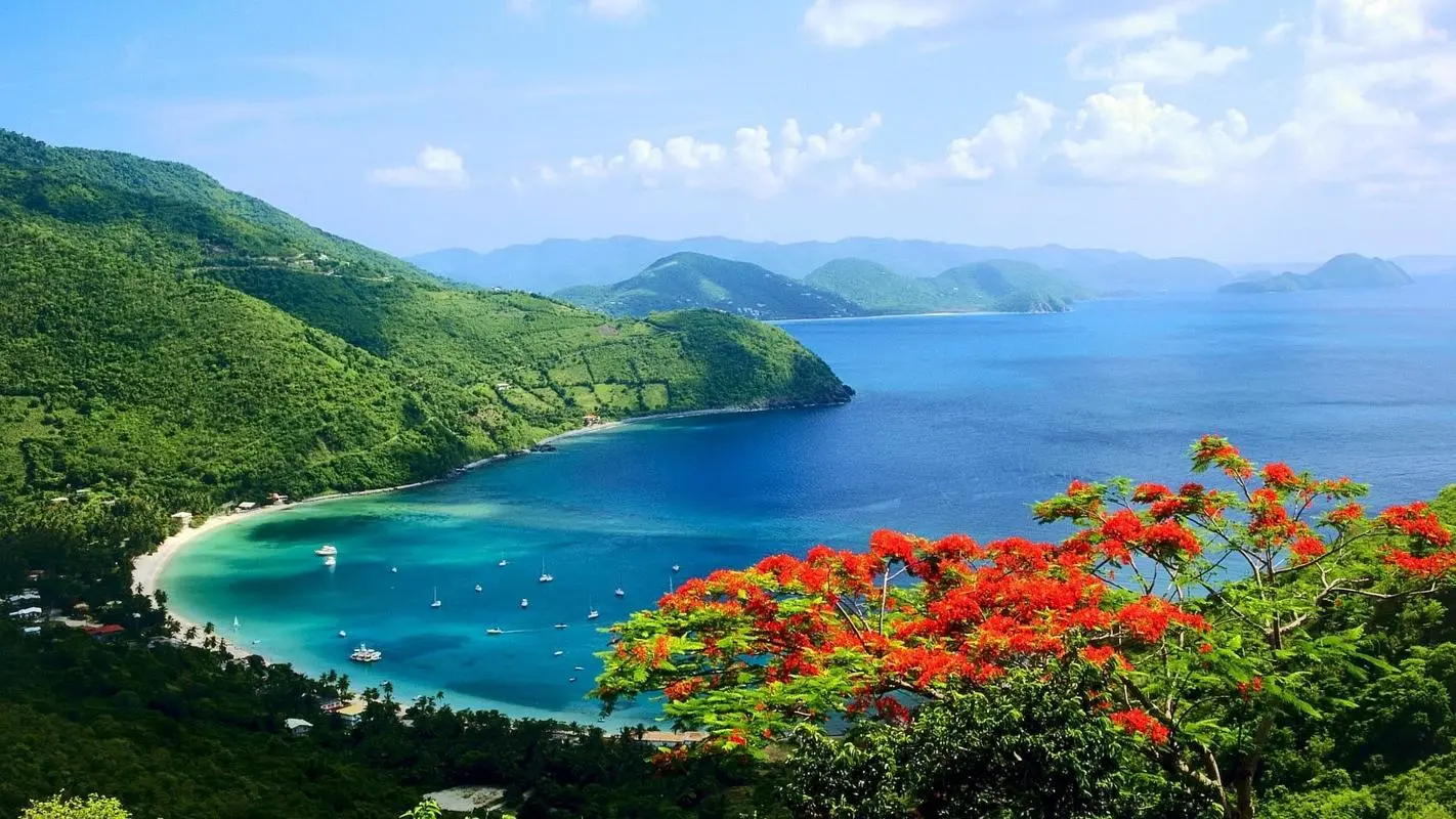 高精度独特